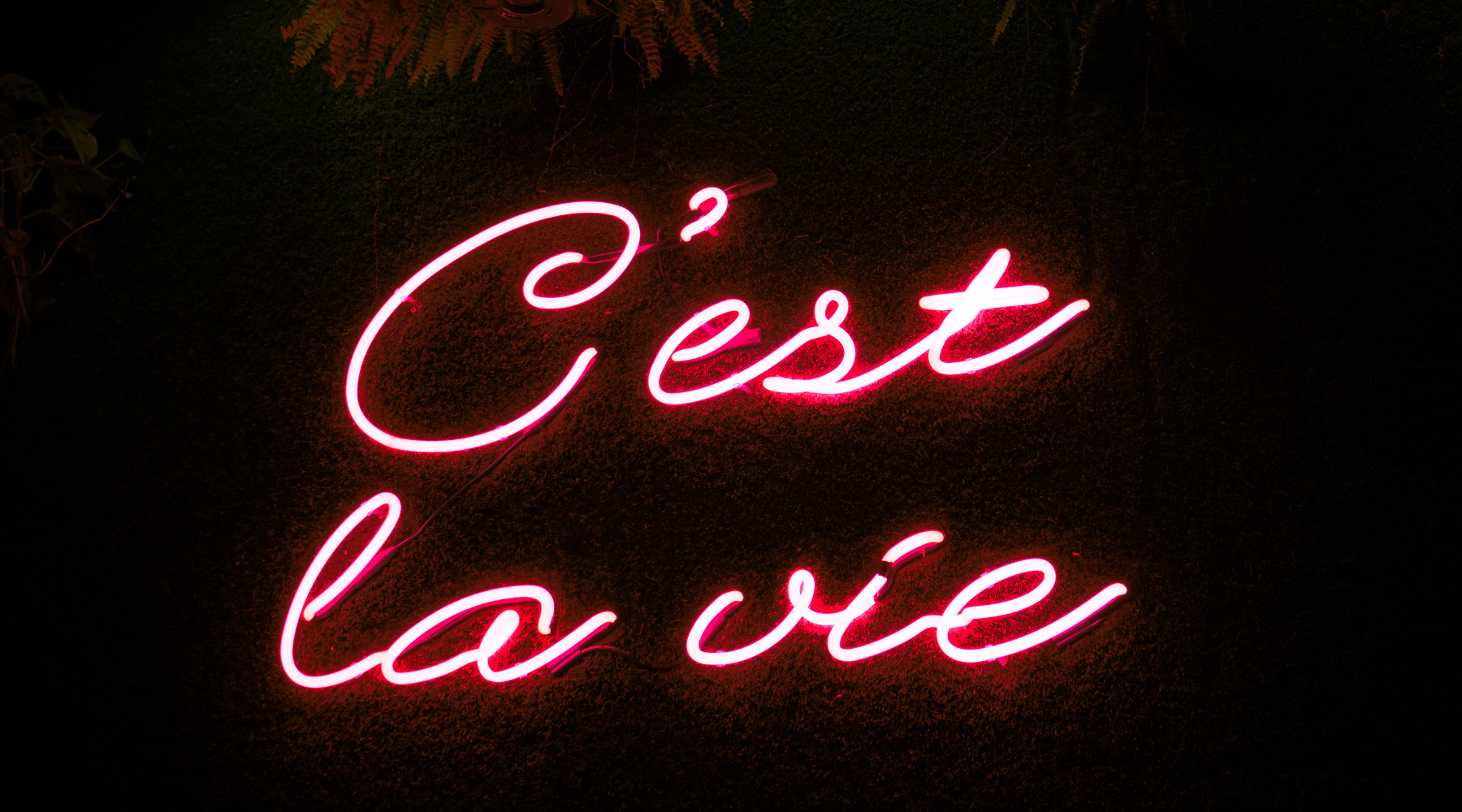 How to Reuse Your Wedding Signs After the Big Day