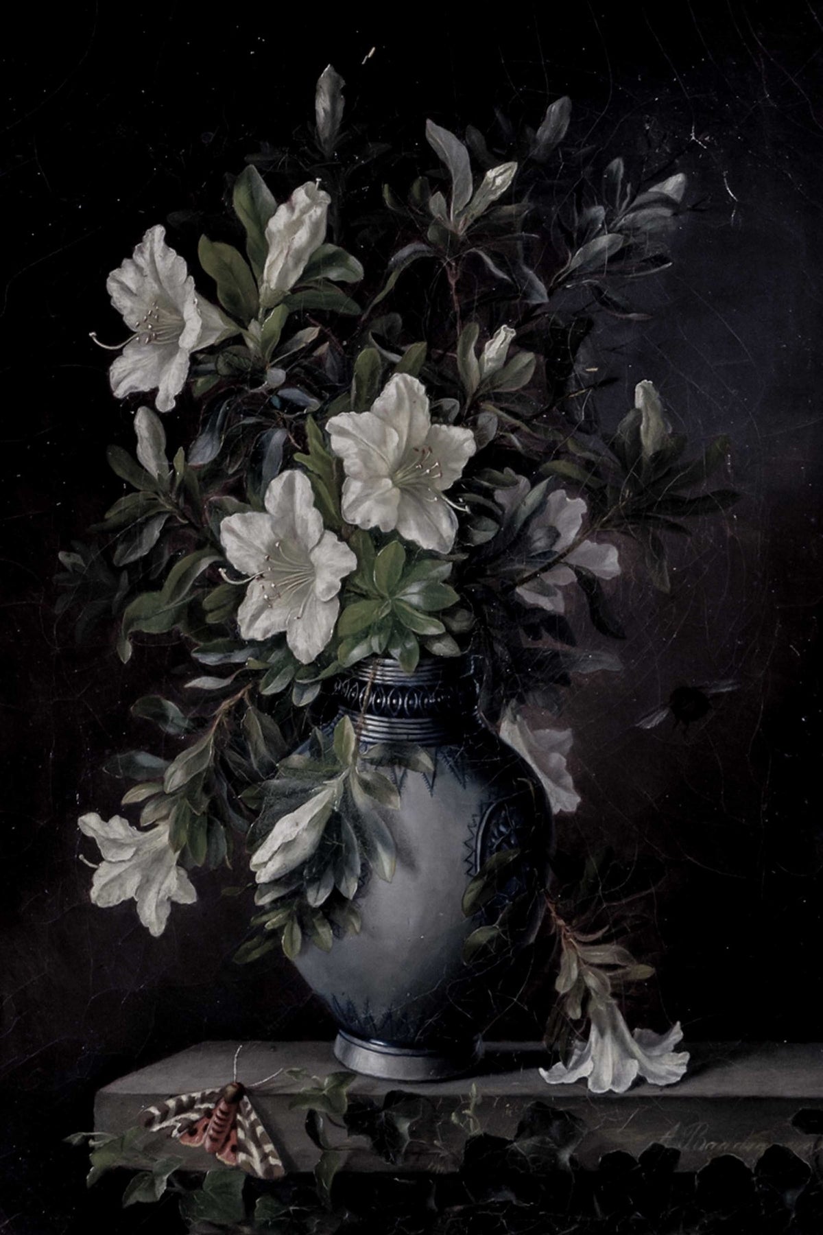 Black Floral Still Life, botanical wall art print