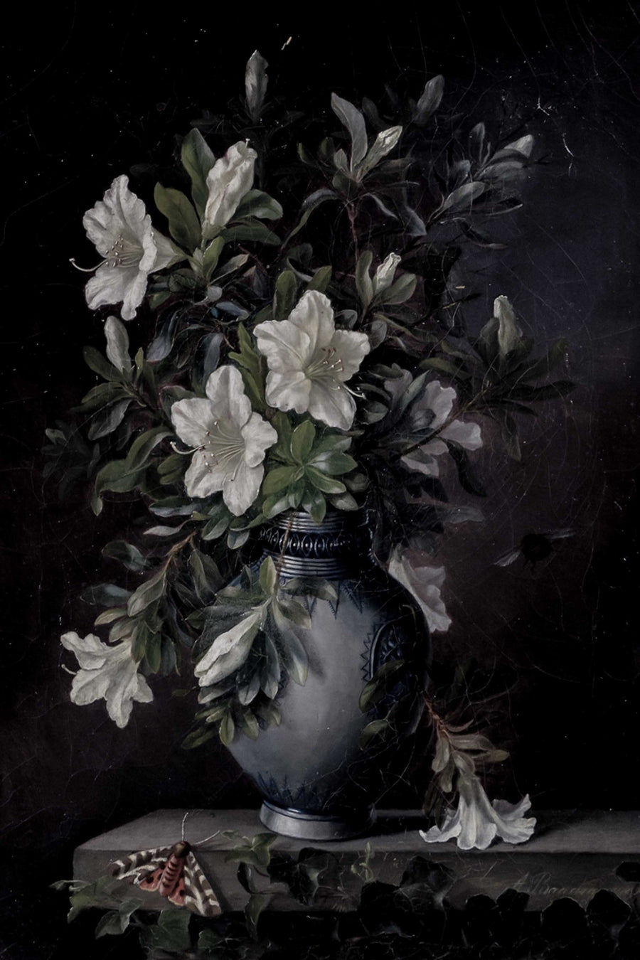 Black Floral Still Life, botanical wall art print