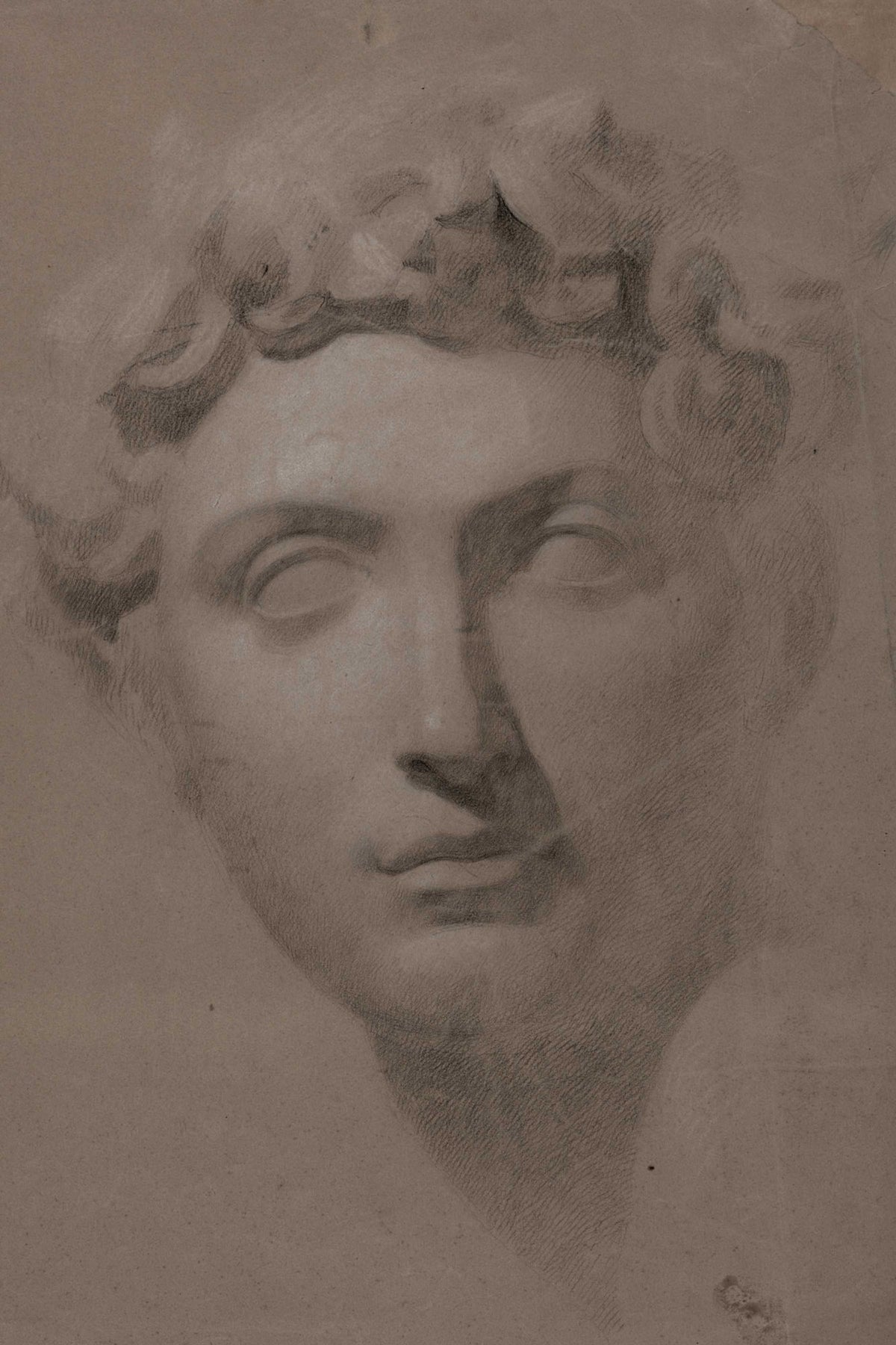 Classical Bust Study, vintage wall art print