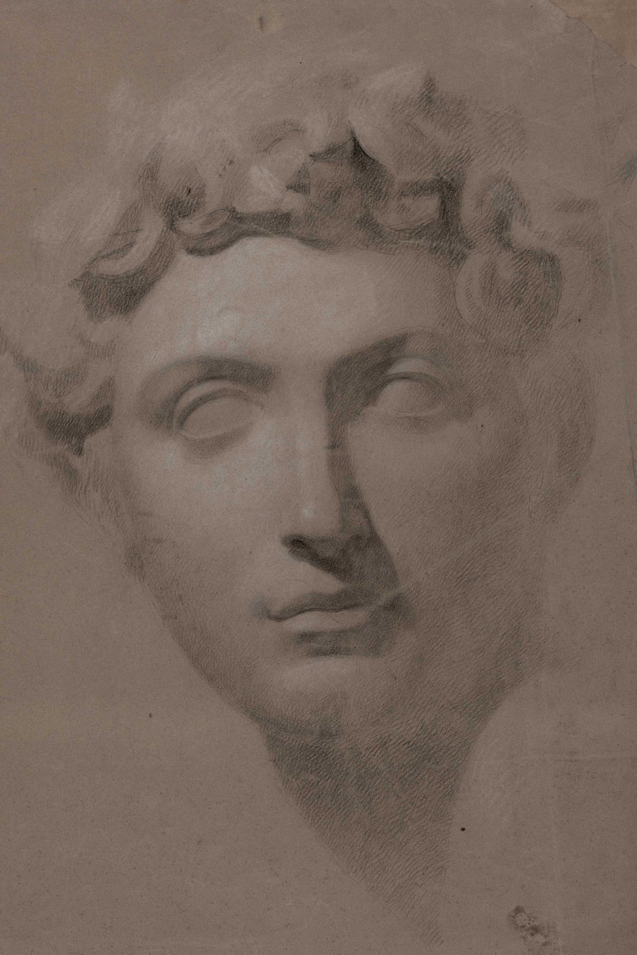 Classical Bust Study, vintage wall art print