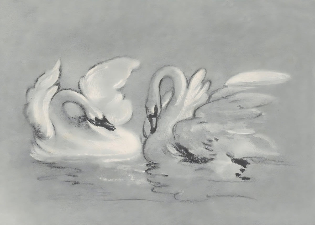 Swan Pair, romantic wall art print