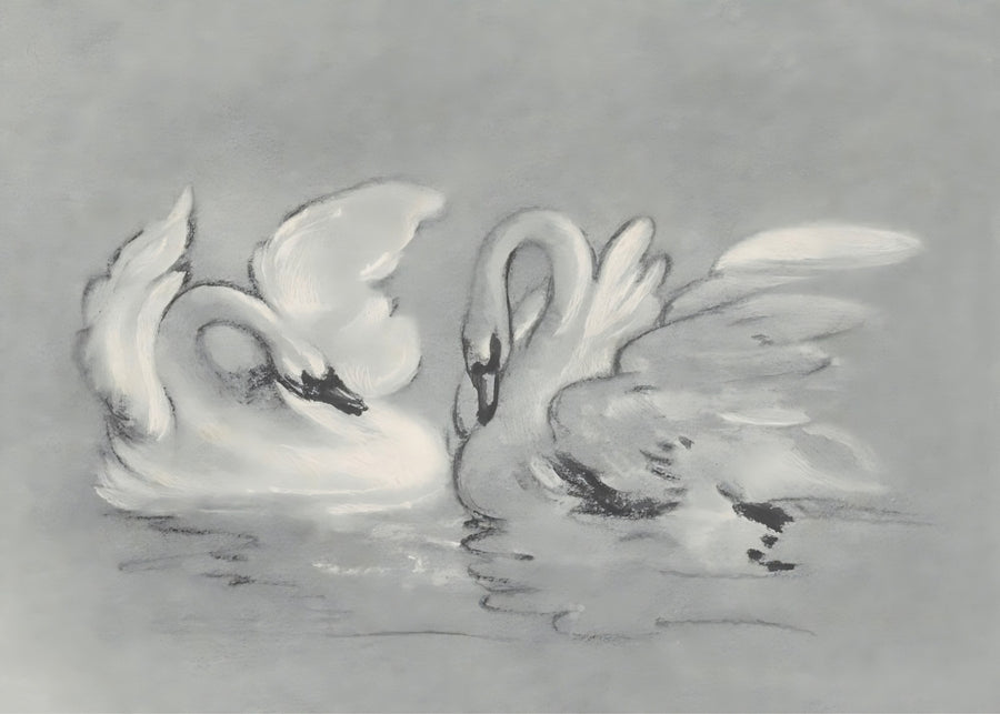 Swan Pair, romantic wall art print