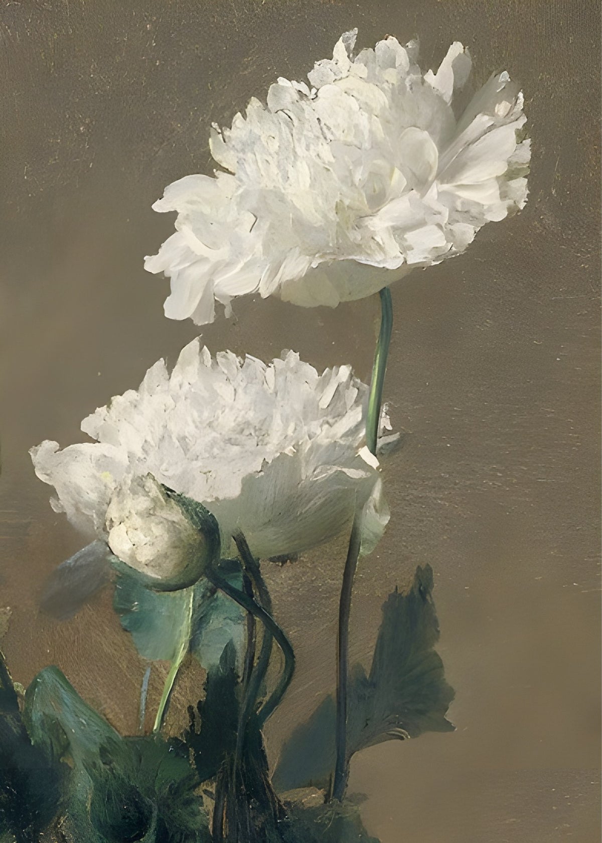 White Peonies, botanical wall art print