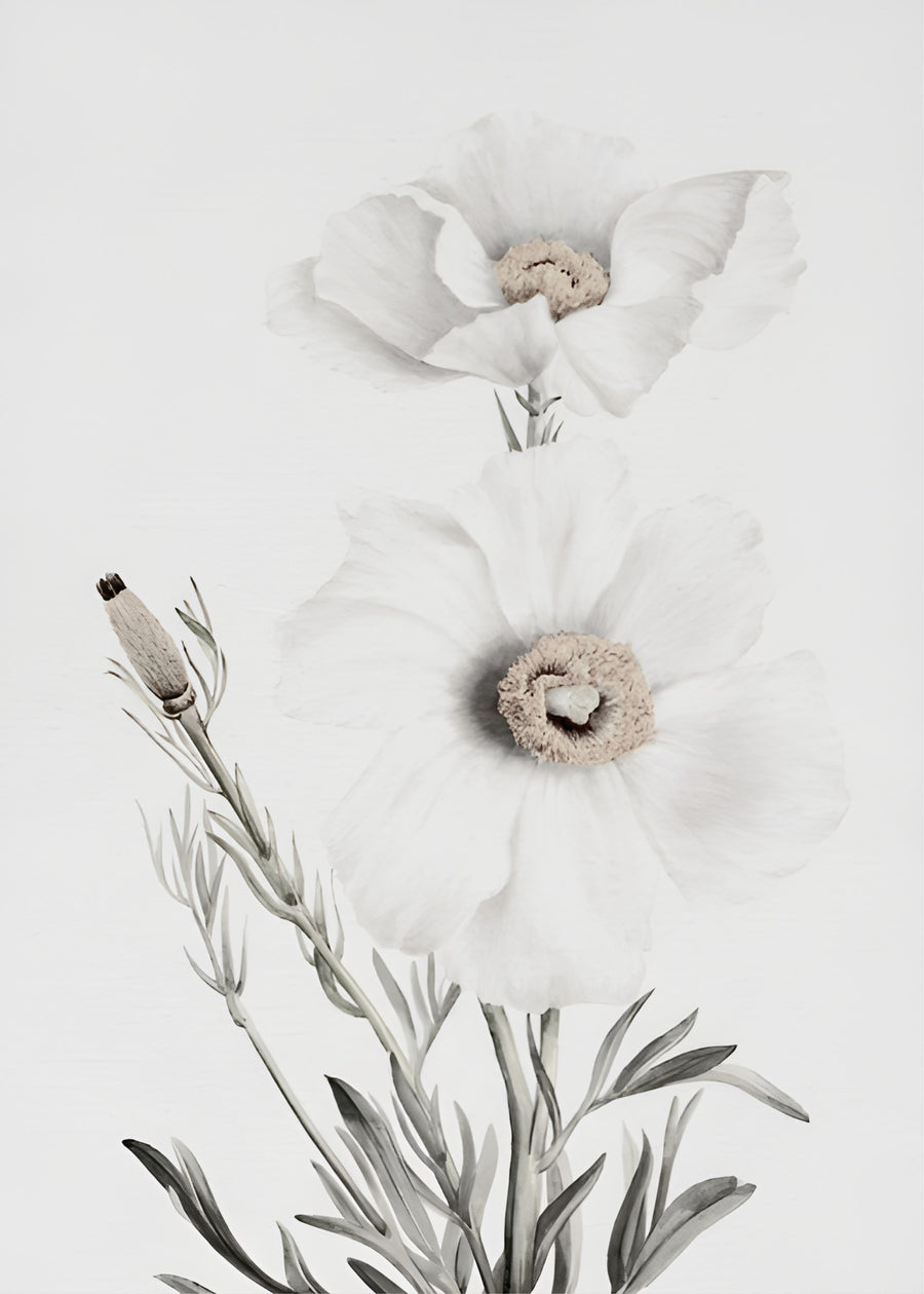 White Poppies Botanical, botanical wall art print