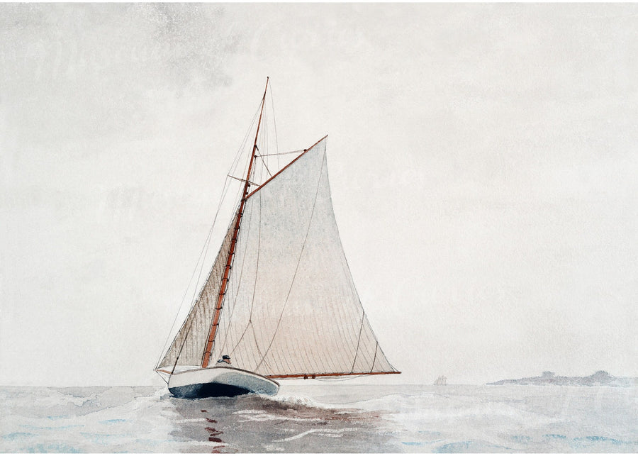 White Sailboat, modern wall art print