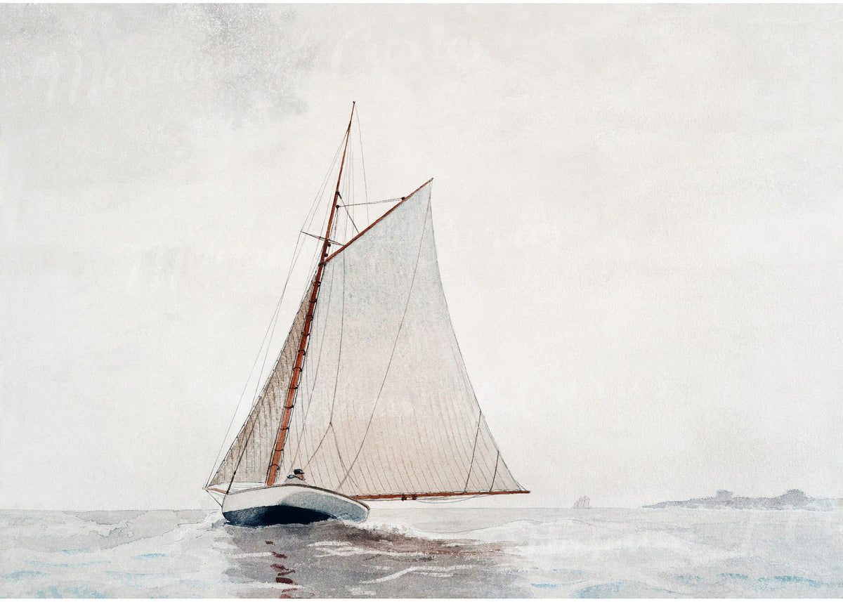 White Sailboat, modern wall art print